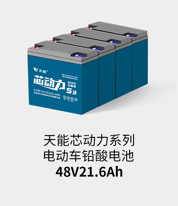新宝GG电池48v20ah