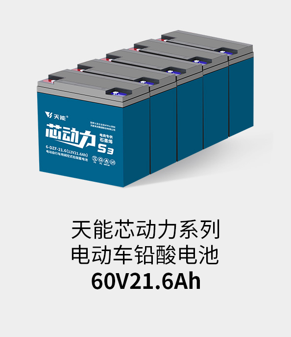 新宝GG电池60v20ah