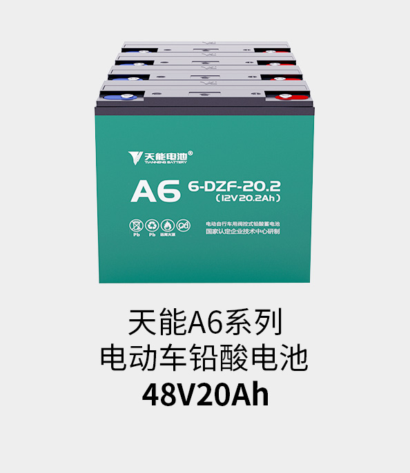 新宝GG电池48v20ah