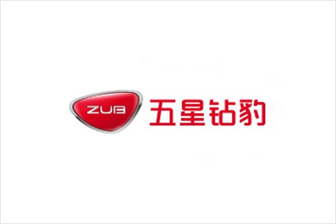 新宝GG电池合作同伴 五星钻豹电动车